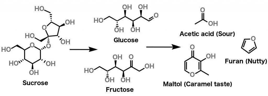 Caramelization: sucrose breaks into glucose and fructose, then into acetic acid, maltol, and furan