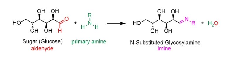 Maillard reaction step one: glucose aldehyde plus a primary amine forms an N-substituted glycosylamine imine plus water